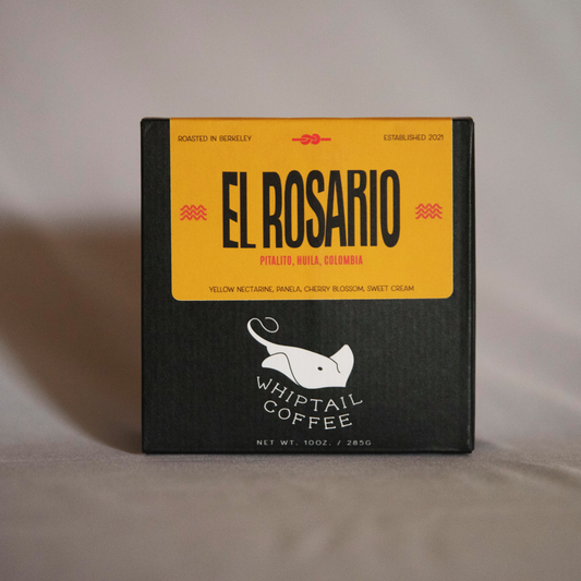 Whiptale - Colombia El Rosario Gilberto Ramos